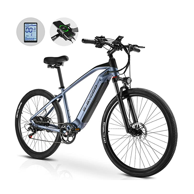 电山自行车